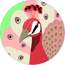 Pamela Stragliotto profile picture
